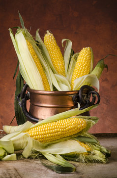 granturco con farina di mais still life