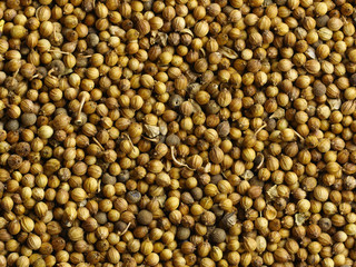 Coriander seeds