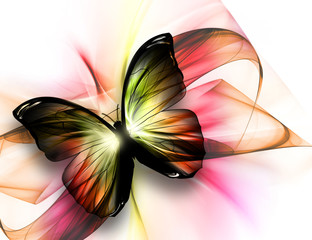 Naklejka na ściany i meble beautiful butterfly