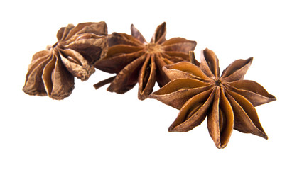 Star anise spice fruits and seeds