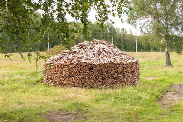 Stack of Firewood in Forest Glade