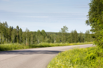 A lonely asphalt road on a sunny day during summer. No vehicles is on the road.