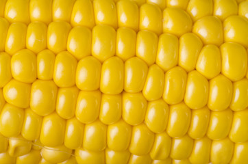 chicchi di mais macro