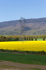 electric pylons with high voltage wires and yellow canola field 