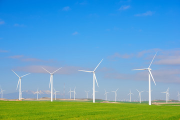 Fototapeta premium Wind energy