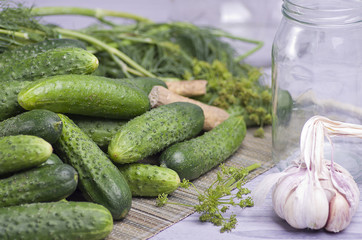 Pickling cucumbers