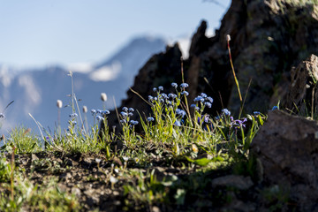 Горный пейзаж