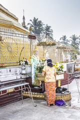 worshipping the buddha