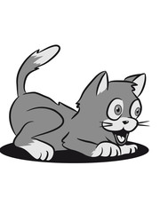 Cat small young sweet funny