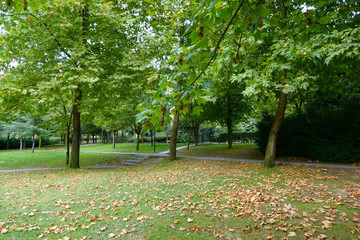 Naklejka premium park path spring
