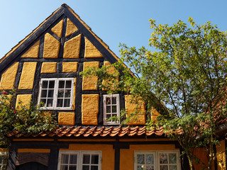 Fototapeta na wymiar Traditional old Danish house