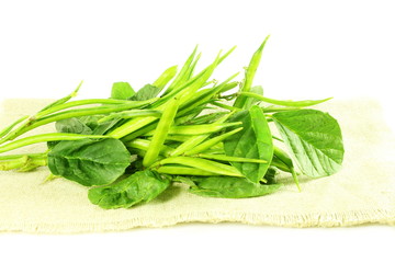 cluster bean or guar been indian vegetable in white background