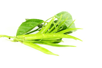 cluster bean or guar been indian vegetable in white background