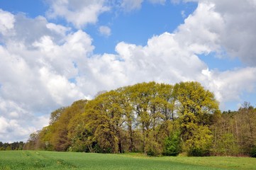Landschaft in Schmannewitz