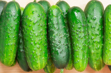 Cucumbers on the table ripe harvest