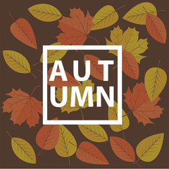 Autumn Background with Orange and Red Leaves © juhrozian