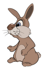 illustration of cartoon rabbit 