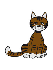 Cat small young fun loving