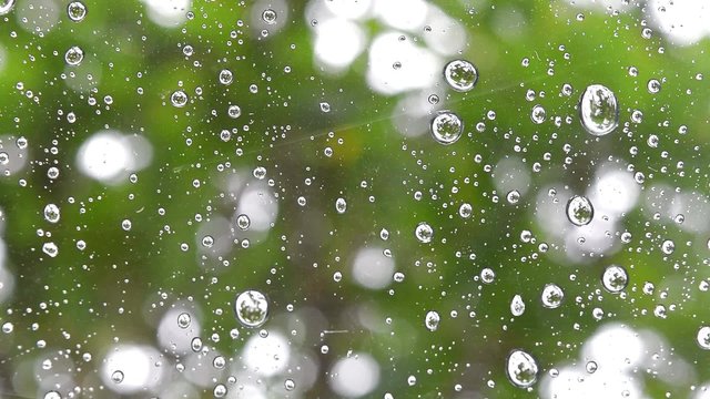 Rain drops on window,rain drops on glass background