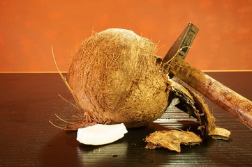 Cocco aperto con martello