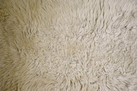 Cream Shaggy Sheepskin Wool Background