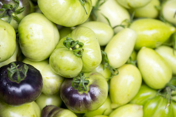 frash picked green tomatoes