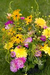 garden bouquet annuals, The Netherlands