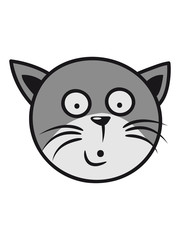 Obraz premium Cat small young funny goofy sweet pet