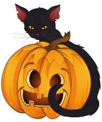 Halloween Kater Kürbis