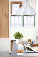 Young businesswoman working on a laptop