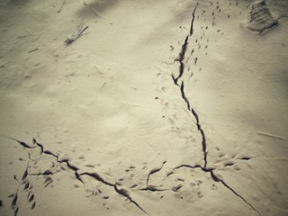 Cracked dry soil