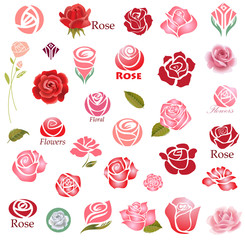 Roses design elements  - obrazy, fototapety, plakaty