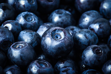 blueberries collected manually. background