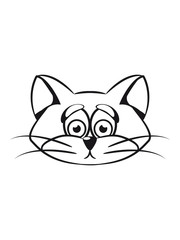 Cat small young sad sweet pet