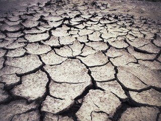 Cracked dry soil