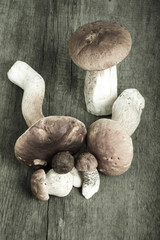 Wild ceps and boletus on the background of old wooden board. Ver
