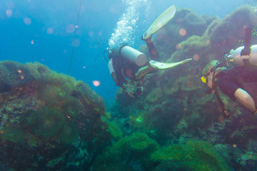 Fototapeta na wymiar Scuba Diver on coral reef in clear blue water