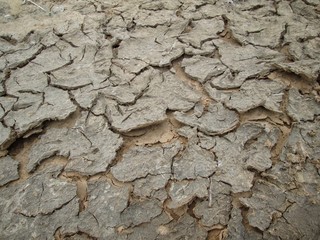 Cracked dry soil