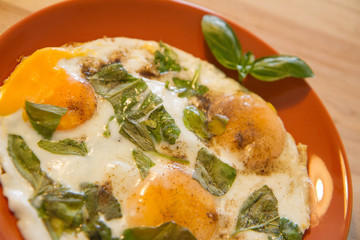 Fried eggs with basil