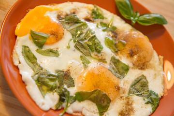 Fried eggs with basil