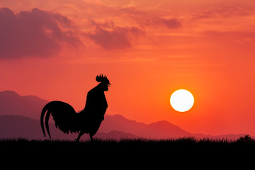 Roosters crow stand on a wind turbine. In the morning sunrise ba © napatcha