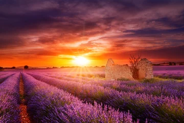 Keuken achterwand Lavendel Zonsondergang Valensole ruine  © GILLES
