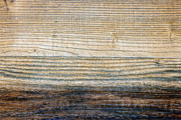 Fototapeta premium wooden floor