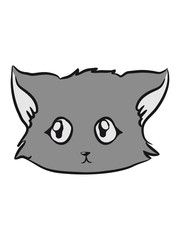 Cat small young sad pet