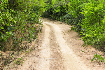 Fototapeta na wymiar Rough gravel road passing through green forest