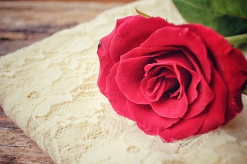 Red rose