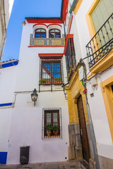 Fototapeta na wymiar Typical whitewashed houses along the streets of the city of Cordoba spain