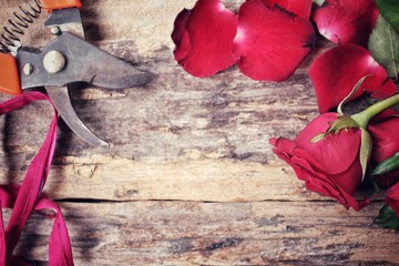 Woman making bouquet with red roses flower