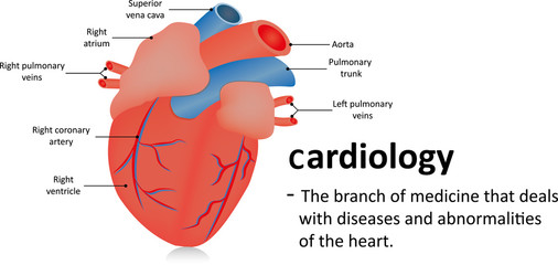 Cardiology