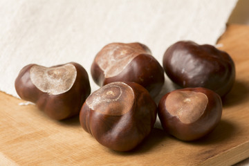 fruit chestnut